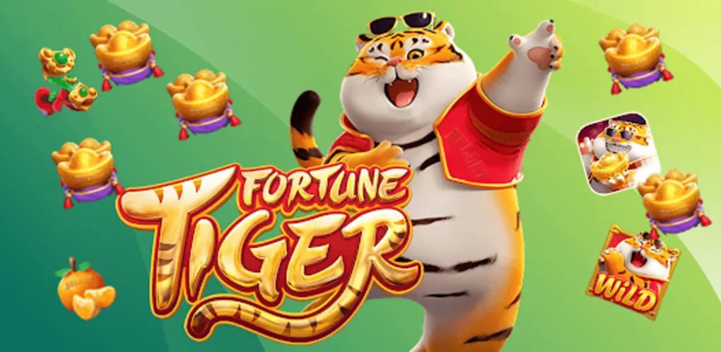 দায়িত্বশীল ভিআইপি ব্যবহারে সময় ও বাজেট